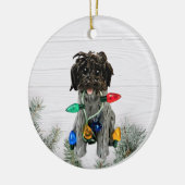 Wirehaered Pointing Griffon keramisch siermiddel Keramisch Ornament (Links)