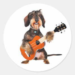 Wirehair Dachshund die Acoustic Guitar speelt Ronde Sticker
