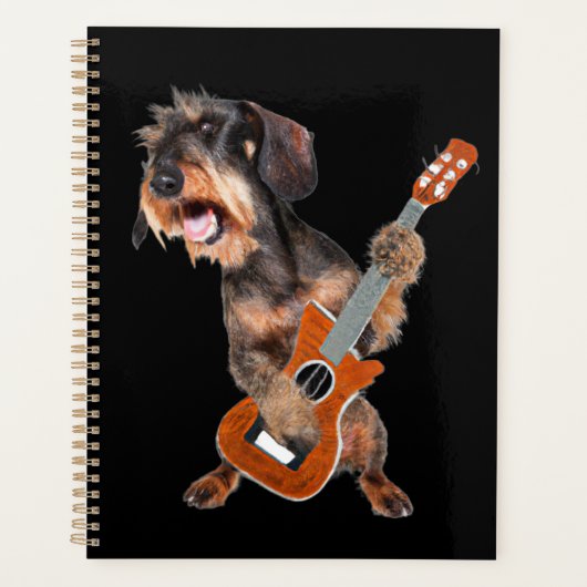 Wirehair Dachshund Jouer Guitare Planner (Devant)
