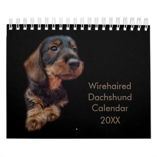 Wirehaire Dachshund Calendar Kalender