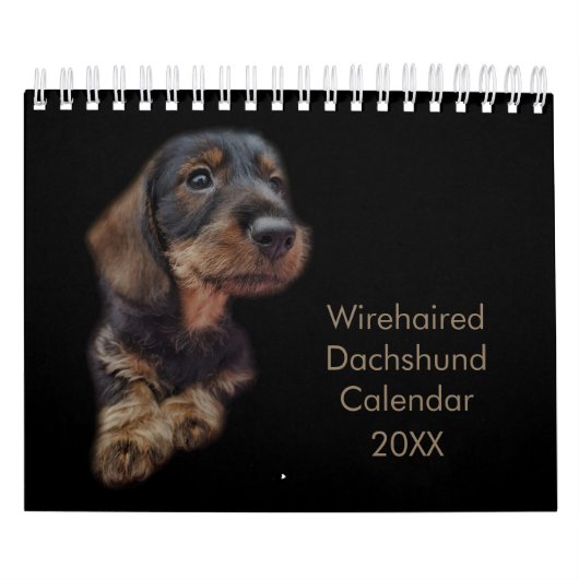 Wirehaire Dachshund Calendar Kalender (Hoes)