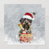 Wirehaire Pointer, Dog Kerstmis (Voorkant / Achterkant)