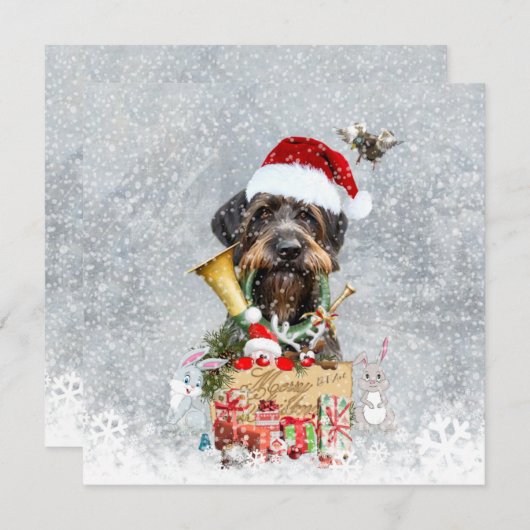 Wirehaire Pointer, Dog Kerstmis (Voorkant / Achterkant)