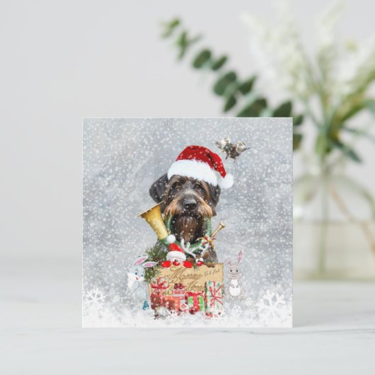 Wirehaire Pointer, Dog Kerstmis (Staand voorkant)