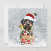 Wirehaire Pointer, Dog Kerstmis (Voorkant)