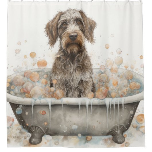 Wirehaired aanwijzend Griffon in badkuip Waterverf Douchegordijn (Voorkant)