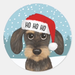 Wirehaired Dachshund Santa Schattige Dog Custom Ronde Sticker
