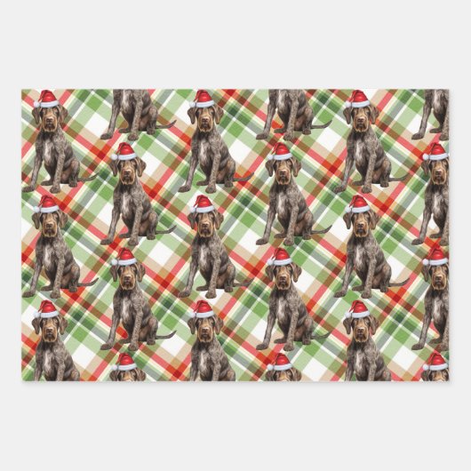 Wirehaired Pointer Christmas Dog Red Green Plaid Inpakpapier Vel (Voorkant 2)