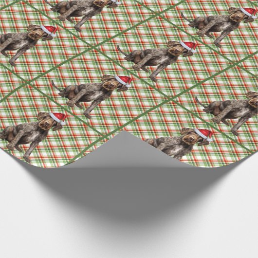 Wirehaired Pointer Dog Holiday Plaid Christmas Cadeaupapier (Hoek)