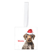 Wirehaired Pointer Dog Two Photo Christmas Holiday Kubus Ornament (Voorkant)
