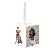 Wirehaired Pointer Dog Two Photo Christmas Holiday Kubus Ornament (Achter hoekig)