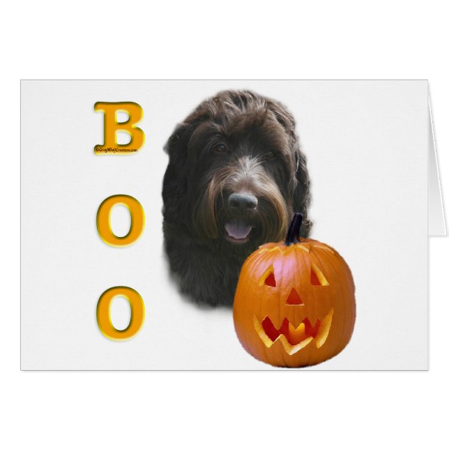 Wirehaired Pointing Griffon Boo (Voorkant Horizontaal)