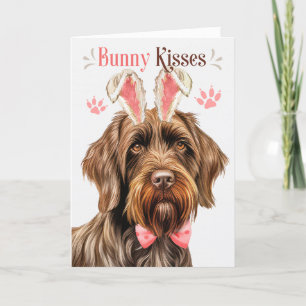 Wirehaired Pointing Griffon Bunny Oren voor Pasen Feestdagen Kaart