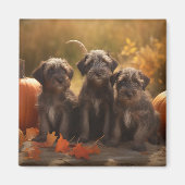 Wirehaired Pointing Griffon Puppy Autumn Magneet (Voorkant)