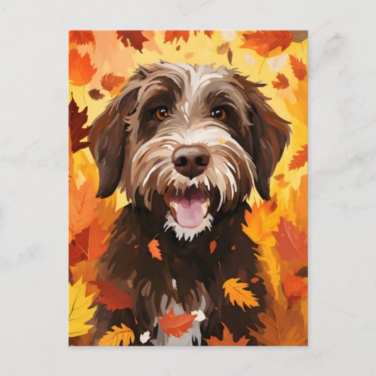 Wirehaired wijzend griffon herfst Thanksgiving Briefkaart (Voorkant)