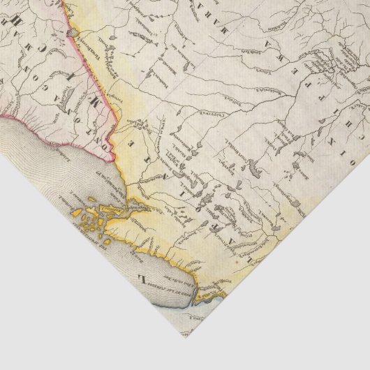 Wisconsin 6 tissuepapier (Detail)