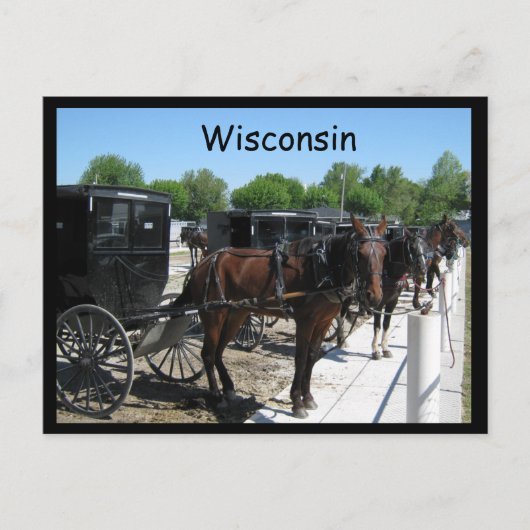 Wisconsin Amish Briefkaart (Voorkant)