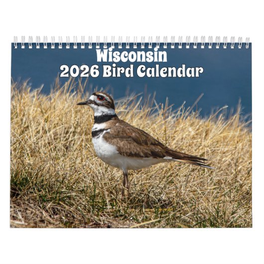 Wisconsin Birds Calendar 2026 Kalender (Hoes)