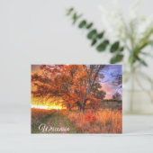 Wisconsin Briefkaart (Staand voorkant)