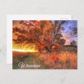 Wisconsin Briefkaart (Voorkant / Achterkant)