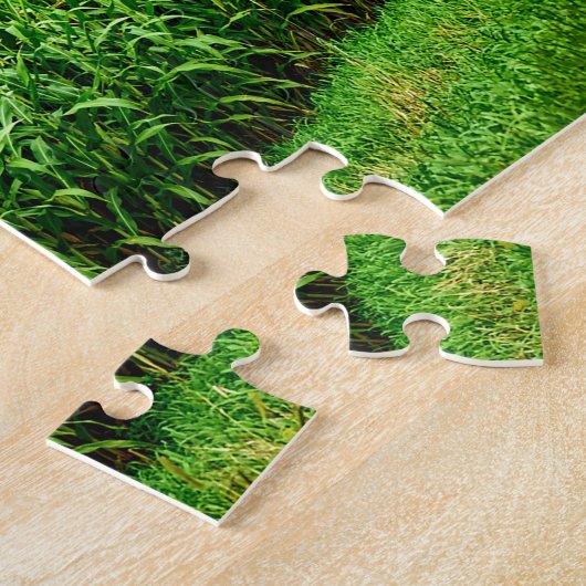 Wisconsin Corn Fields. Legpuzzel (Zijkant)