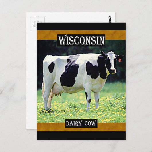 Wisconsin Dairy Cow Briefkaart (Voorkant / Achterkant)