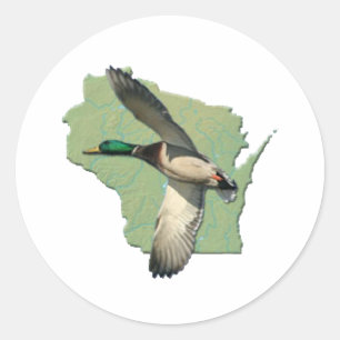 Wisconsin-eend Ronde Sticker