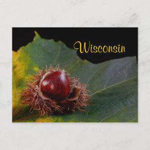 Wisconsin, Feuilles D'Automne Avec Carte Postale N