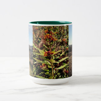 Wisconsin Herfst Wilde bloem en Mok koffie