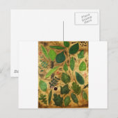 Wisconsin Leaves Briefkaart (Voorkant / Achterkant)