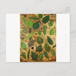 Wisconsin Leaves Briefkaart