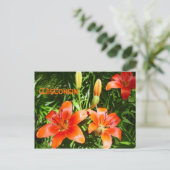 Wisconsin Lillies Briefkaart (Staand voorkant)