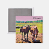 Wisconsin Magneet (Voorkant / Achterkant)