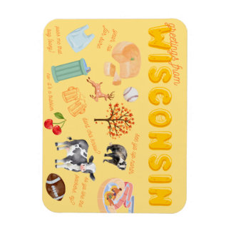 Wisconsin Magnet Magneet