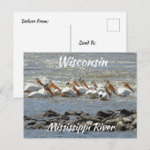 Wisconsin, Mississippi River Memorabilia Briefkaart (Voorkant / Achterkant)