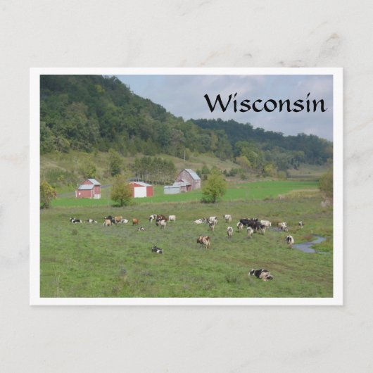 Wisconsin Pasture Briefkaart (Voorkant)