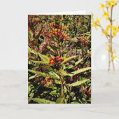 Wisconsin Red Tree Wildflower Kaart (Gele Bloem)