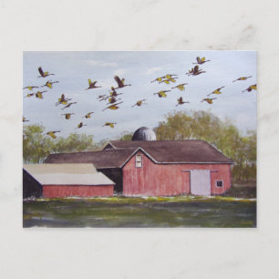 Wisconsin Sand Cranes - briefkaart