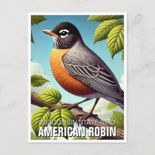 Wisconsin State Bird American Robin Briefkaart (Voorkant)