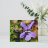 Wisconsin State Flower: Violet Briefkaart (Staand voorkant)