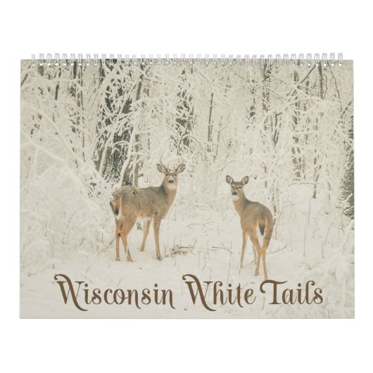 Wisconsin White Tails Kalender (Hoes)