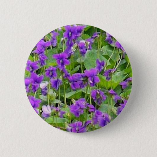 Wisconsin Wood Violets Pin-Back Button (Voorkant)