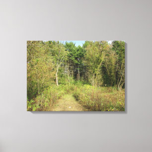 Wisconsin Woods en Trail Natuur Foto Wand Kunst Canvas Afdruk