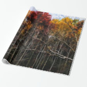 Wisconsin Woods In Fall Cadeaupapier (Uitgerold)