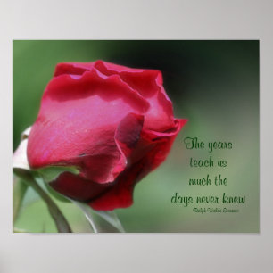 Wisdom Aging Quote Rosebud Inspirerend Poster