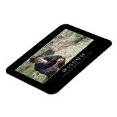 Wisdom: Inspirerend prijsopgave 1 Magneet (Linkerzijde)