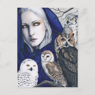 Wisdom Owls Shaman Fantasy Briefkaart