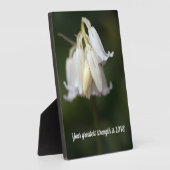 Wisdom Tabletop Plaque met Easel Fotoplaat (Zijkant)