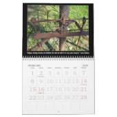 Wisdom tegen religie kalender (Feb 2026)