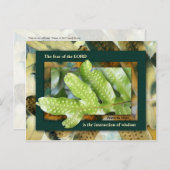 Wisdom van de Heer Briefkaart (Voorkant / Achterkant)